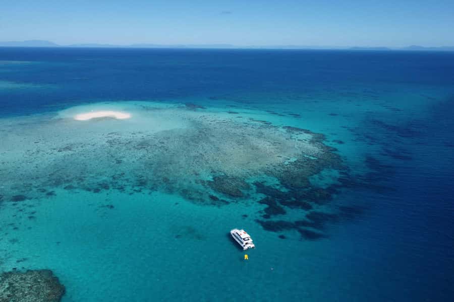 Mission Beach: Outer Great Barrier Reef & Dunk Island Tour - Why Beaver Reef makes this Mission Beach trip different