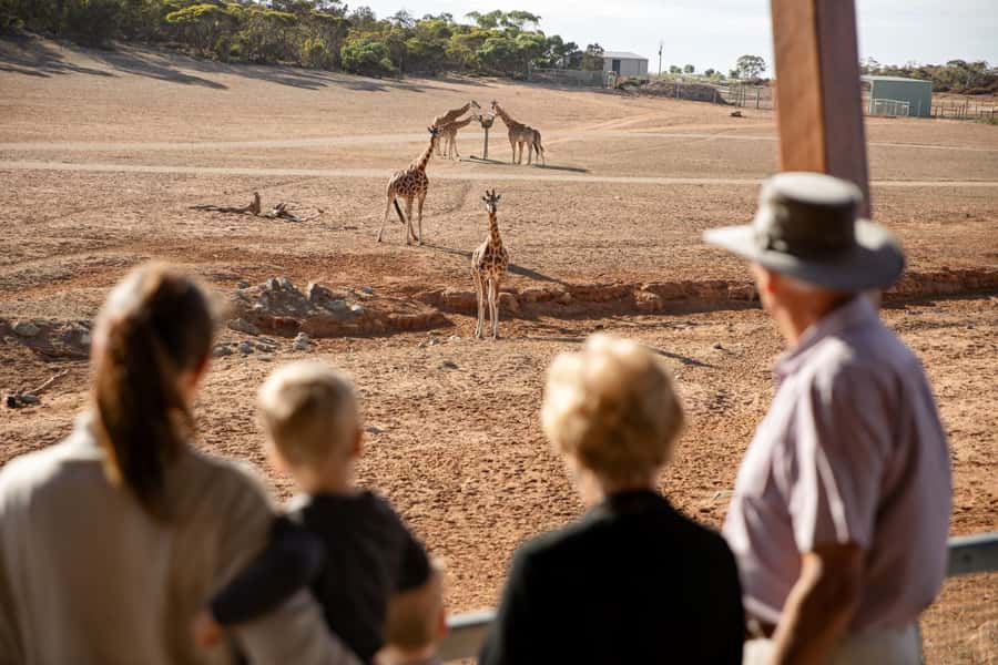 Monarto Safari Park: General Admission Tickets - Key points to know before you go