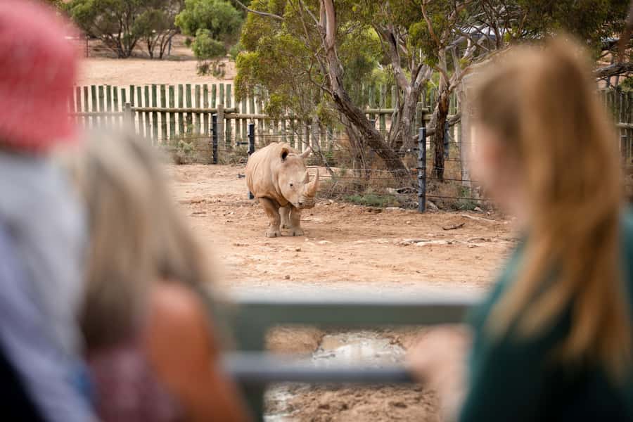 Monarto Safari Park: General Admission Tickets - Food, picnics, and the real cost of a day out