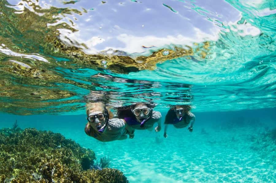 Mooloolaba: Snorkel with Turtles Mudjimba Island - Why Mudjimba Island makes a good short trip