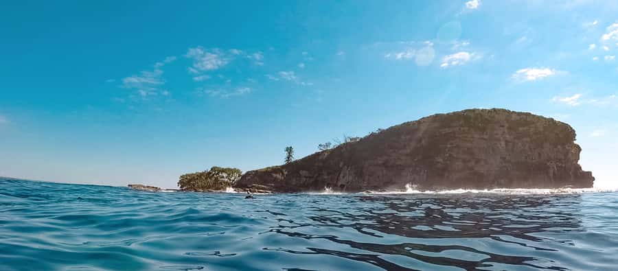 Mooloolaba: Snorkel with Turtles Mudjimba Island - Check-in at The Wharf Mooloolaba