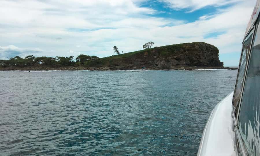 Mooloolaba: Snorkel with Turtles Mudjimba Island - One hour around the reef
