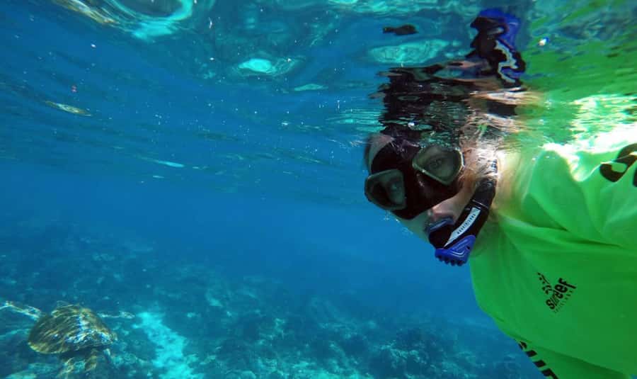 Mooloolaba: Snorkel with Turtles Mudjimba Island - Visibility and weather can change the whole outing