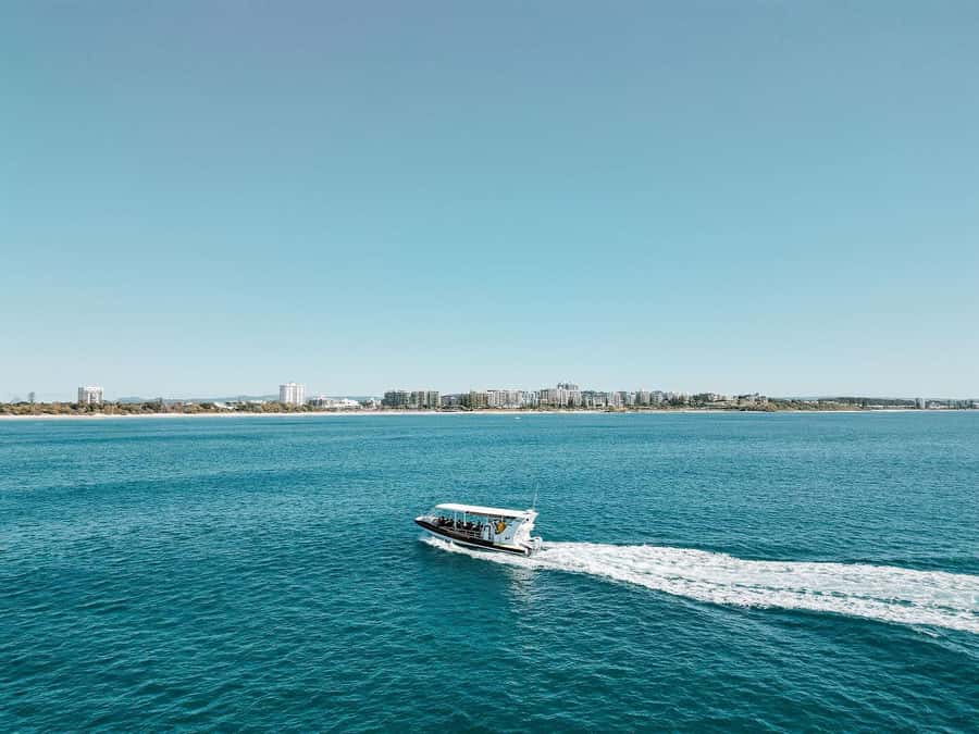 Mooloolaba: Whale Watching Cruise - Hearing whales through the hydrophone