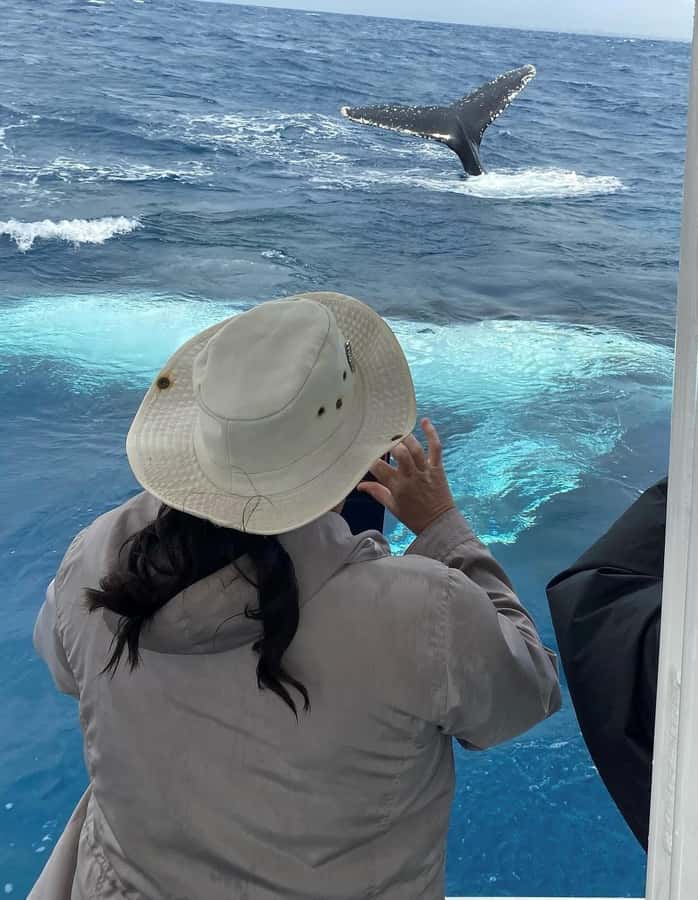 Mooloolaba: Whale Watching Cruise - Should you book the Mooloolaba whale watching cruise?