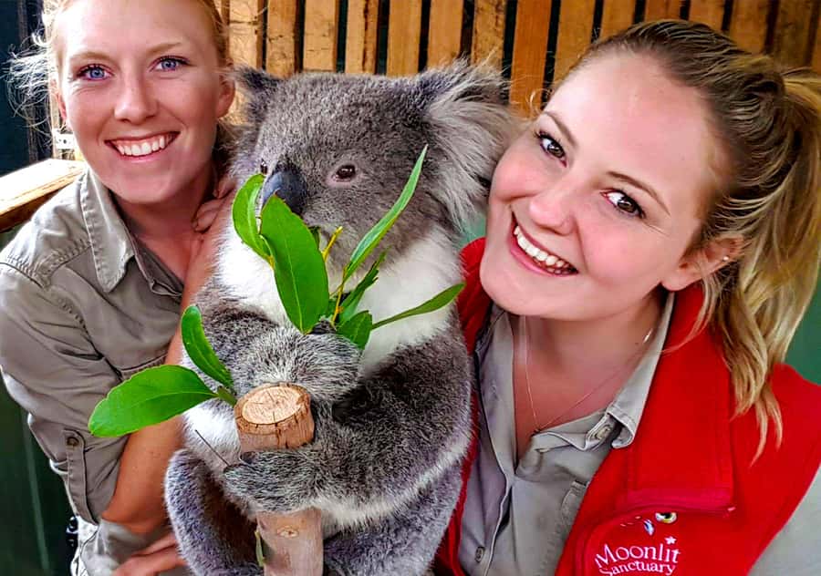 Moonlit Sanctuary Conservation Park Entry Ticket - Koalas, wombats, and extra encounters