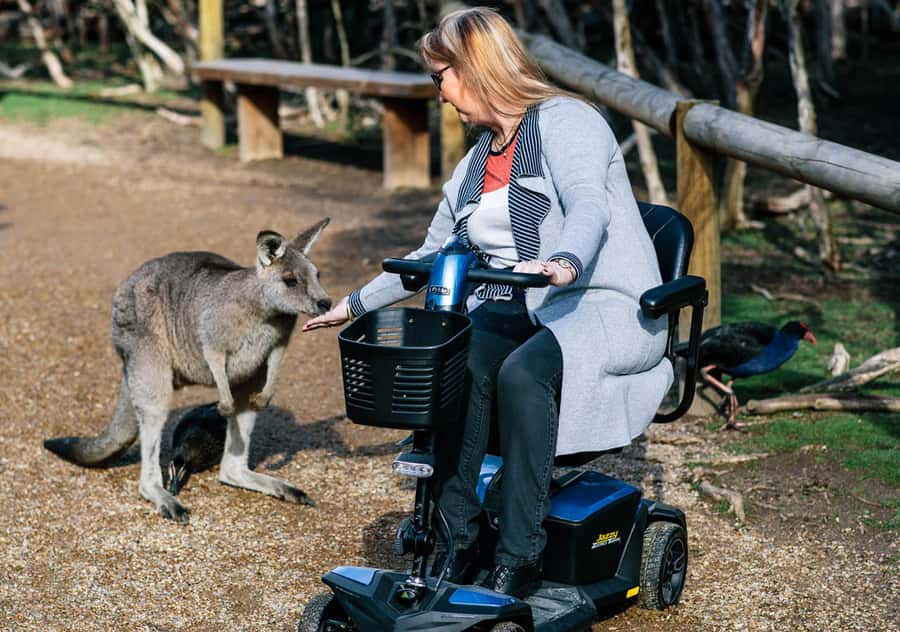 Moonlit Sanctuary Conservation Park Entry Ticket - A practical half-day or full-day visit