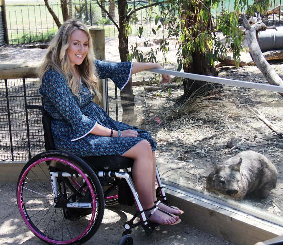 Moonlit Sanctuary Conservation Park Entry Ticket - Comfort, access, and family details