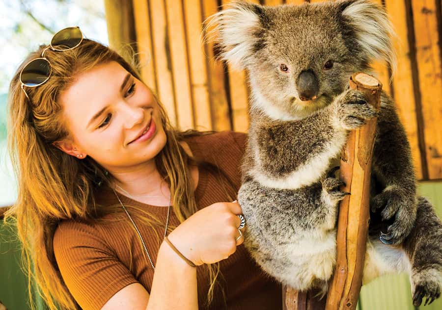 Moonlit Sanctuary Conservation Park Entry Ticket - The kangaroo and wallaby walk is the star