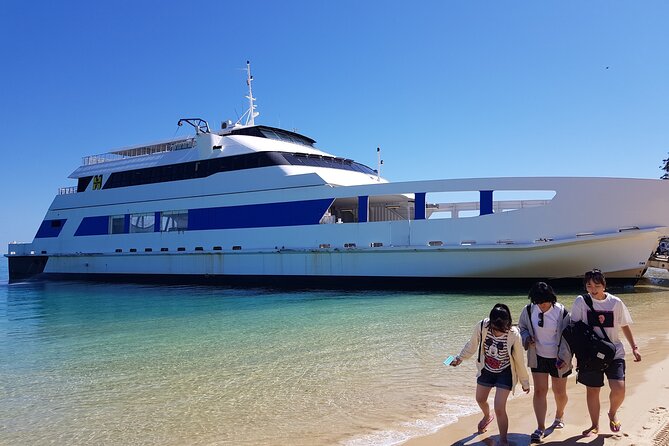 Moreton Island Day Trip (Kayak, Snorkel & Sandboard) frm Brisbane or Gold Coast - Clear kayaks and a different view of the reef