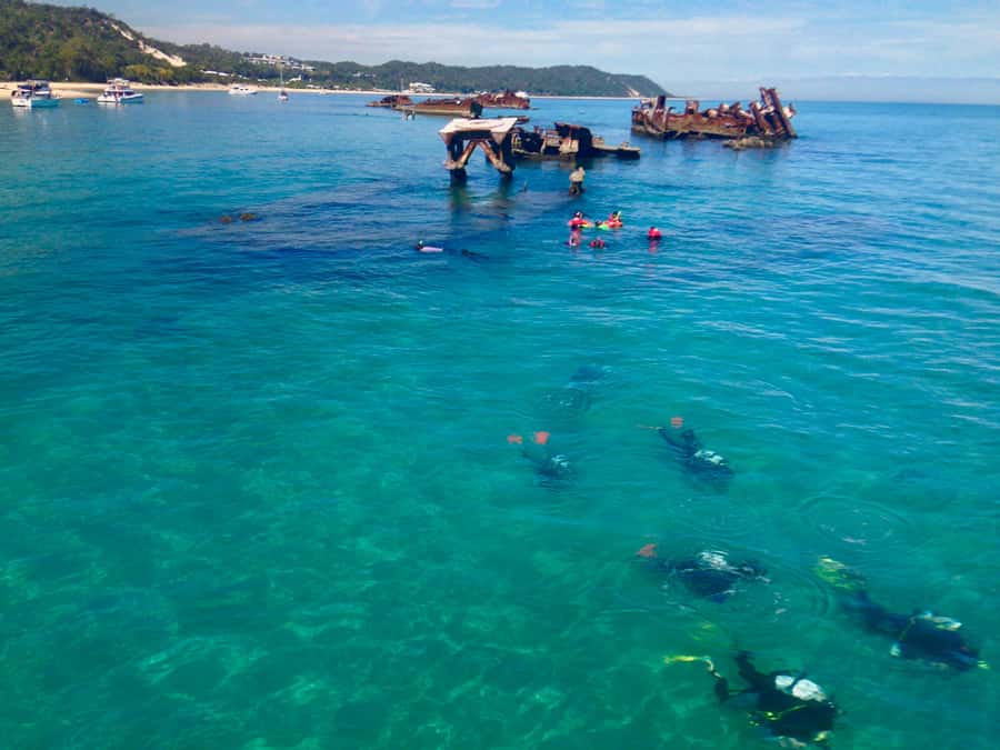 Moreton Island Day-Trip to Scuba Dive and More - Choosing the right underwater session