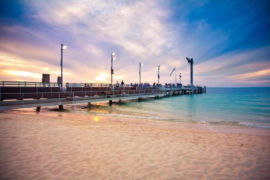 Moreton Island: Desert Safari Tour & Dolphin Viewing - Timing, energy, and who should book