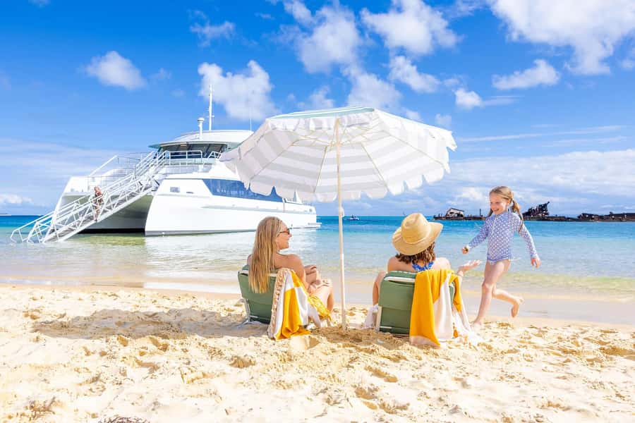 Moreton Island: Dolphin & Tangalooma Wrecks Snorkel Cruise - Key points to know before booking