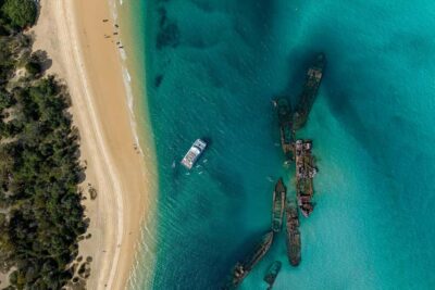 Moreton Island: Dolphin & Tangalooma Wrecks Snorkel Cruise