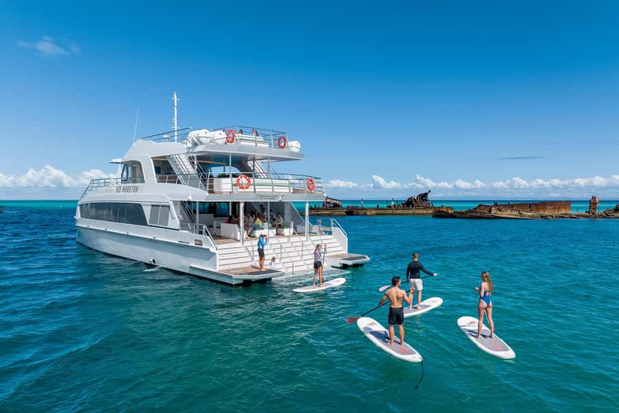 Moreton Island: Dolphin & Tangalooma Wrecks Snorkel Cruise - What to bring and who will enjoy it