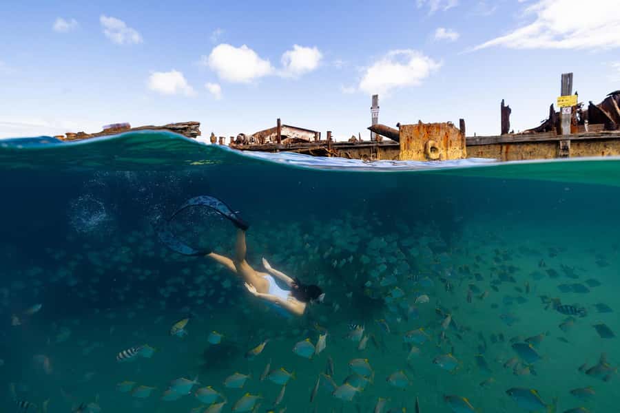 Moreton Island: Dolphin & Tangalooma Wrecks Snorkel Cruise - Should you book the Moreton Island snorkel cruise?