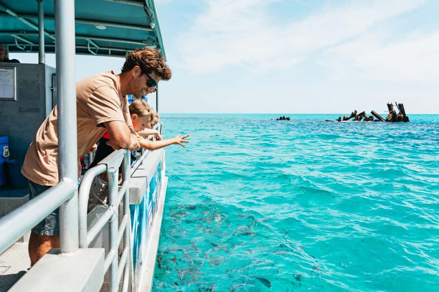 Moreton Island: Marine Discovery Cruise & Dolphin Feeding - Why the dolphin encounter is the real draw