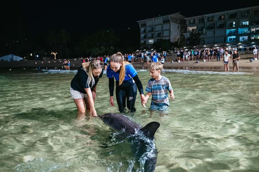 Moreton Island: Marine Discovery Cruise & Dolphin Feeding - Setting out from Holt Street Wharf