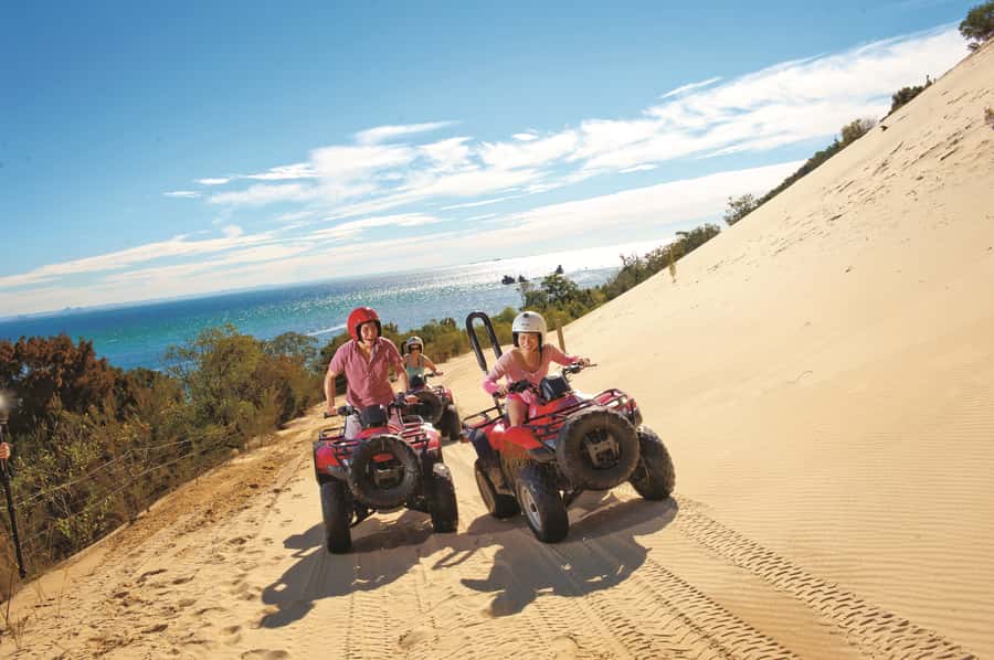 Moreton Island: Tangalooma ATV Quad Bike and Dolphin Viewing - Key points to know before booking