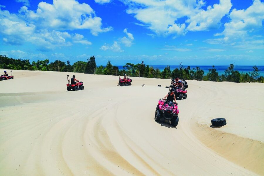 Moreton Island: Tangalooma ATV Quad Bike & Dolphin Feeding - Who will enjoy this Moreton Island day?