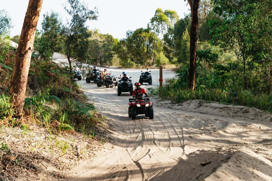 Moreton Island: Tangalooma Day Trip with ATV Quad Bike Tour - The 3:15pm dolphin presentation