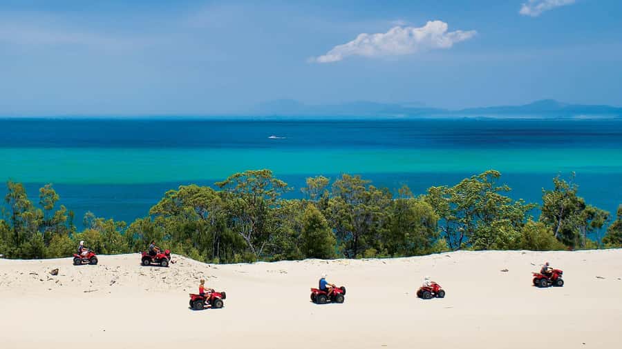 Moreton Island: Tangalooma Day Trip with ATV Quad Bike Tour - What $119 really gets you
