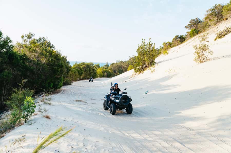 Moreton Island: Tangalooma Day Trip with ATV Quad Bike Tour - Who will enjoy this day most