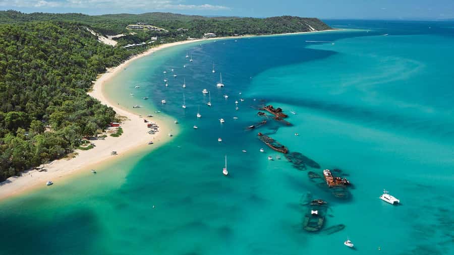 Moreton Island: Tangalooma Day Trip with ATV Quad Bike Tour - Small details that make the day easier