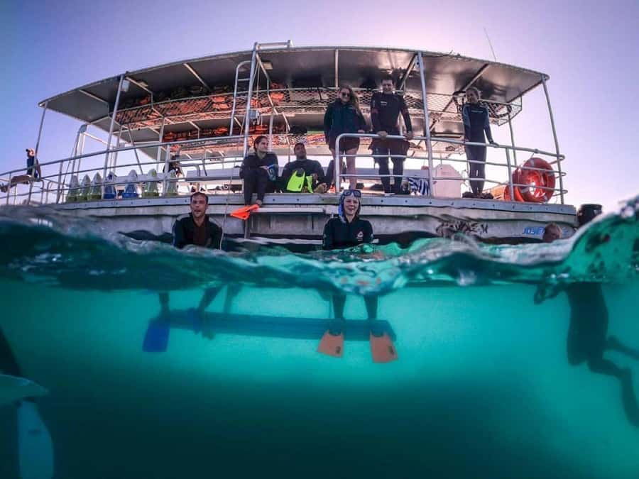 Moreton Island: Tangalooma Day Trip with Snorkeling Tour - Snorkelling the 15 Tangalooma Wrecks