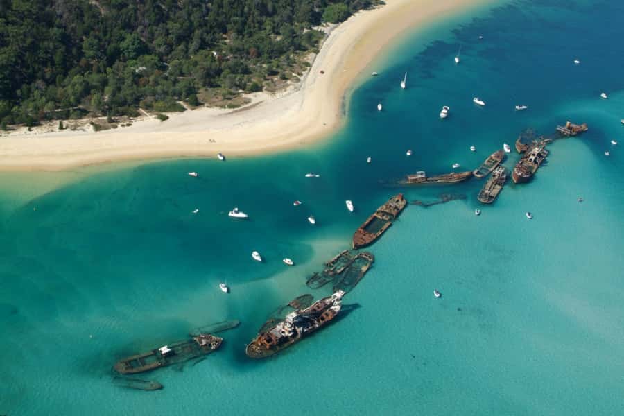 Moreton Island: Tangalooma Day Trip with Snorkeling Tour - Why the guides make a difference
