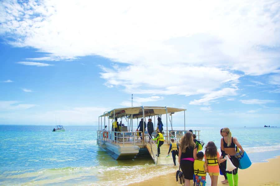 Moreton Island: Tangalooma Day Trip with Snorkeling Tour - What $119 really buys you