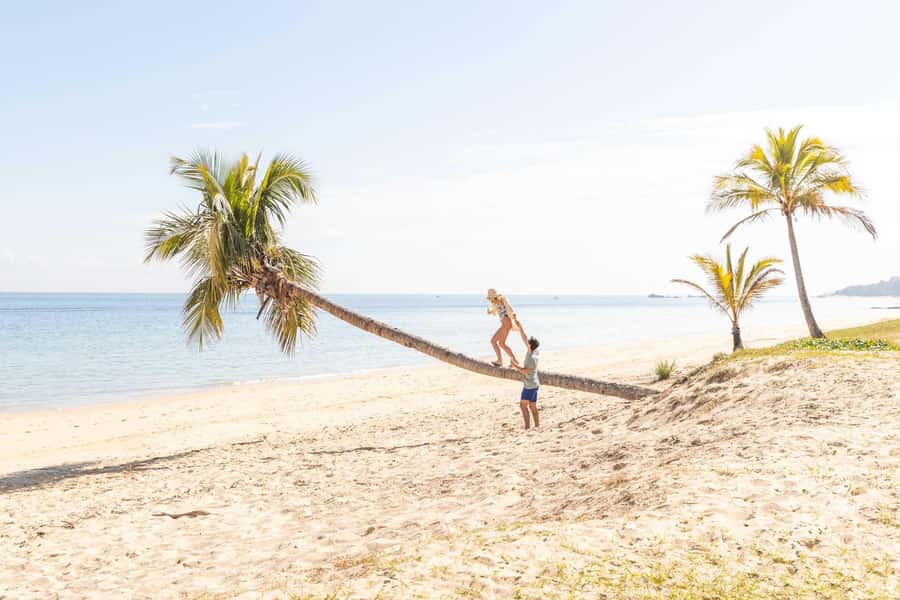Moreton Island: Tangalooma Day Trip with Snorkeling Tour - Who should book this Moreton Island day trip?