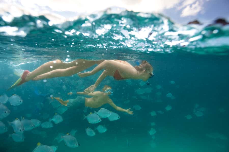 Moreton Island: Tangalooma Day Trip with Snorkeling Tour - Tangalooma Island Resort as your island base