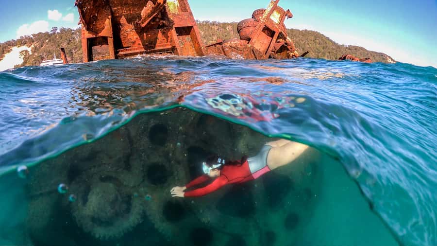 Moreton Island: Tangalooma Snorkeling Tour & Dolphin Feeding - Why the Tangalooma Wrecks are the main daytime draw