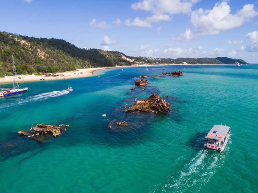 Moreton Island: Tangalooma Snorkeling Tour & Dolphin Feeding - How the dolphin feeding really works