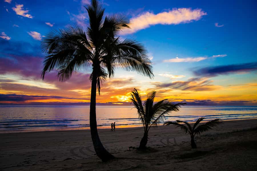 Moreton Island: Tangalooma Snorkeling Tour & Dolphin Feeding - Who will enjoy this day most