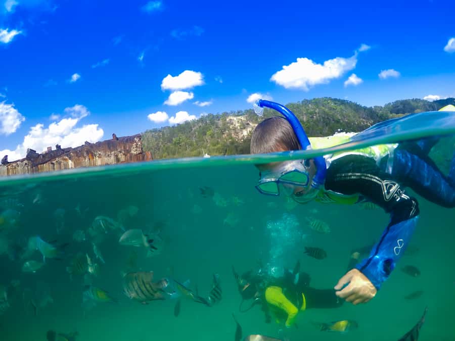 Moreton Island: Tangalooma Snorkelling with Dolphin Viewing - The Tangalooma Wrecks turn snorkelling into a real outing
