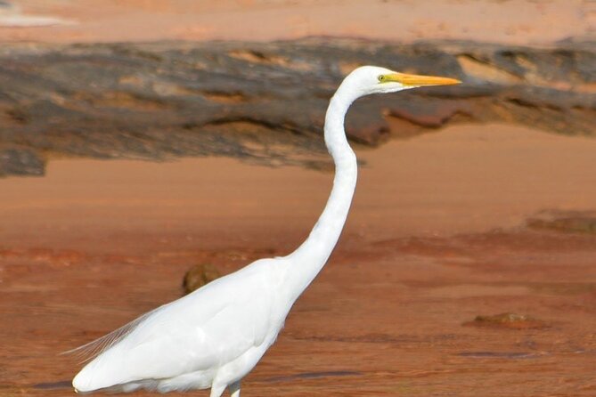 Morning Cruise on the Murchison River in Kalbarri (April to Nov) - The approach to the Murchison River Mouth