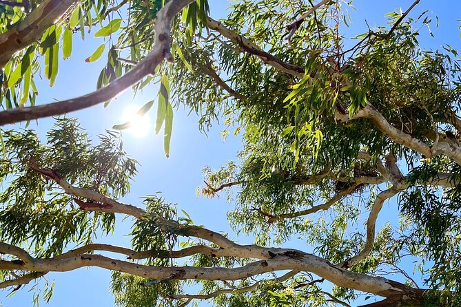 Morning Cruise on the Murchison River in Kalbarri (April to Nov) - Cruising the lower Murchison River
