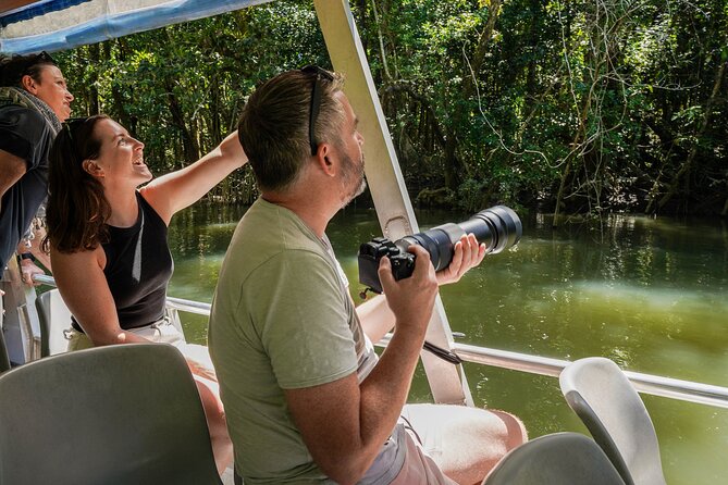 Morning Daintree Tour with River Cruise from Port Douglas - How much walking and effort should you expect?