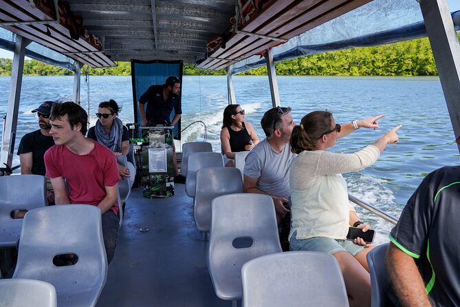 Morning Daintree Tour with River Cruise from Port Douglas - A one-hour search for crocodiles on the Daintree River