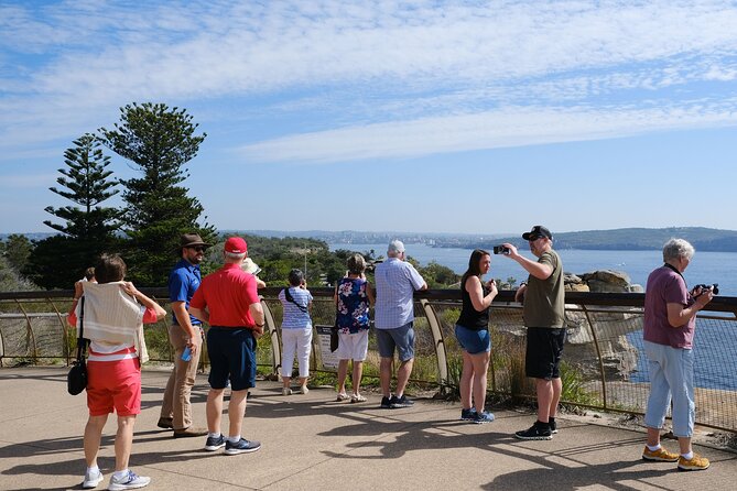Morning or Afternoon Half-Day Sydney City Sightseeing Tour - Rose Bay, Watsons Bay, and The Gap