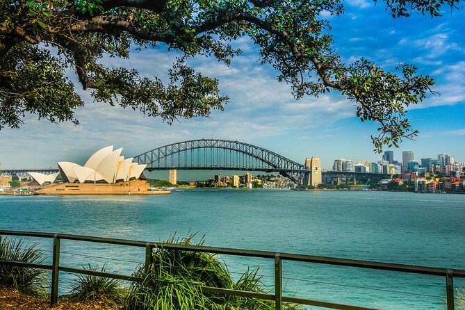 Morning or Afternoon Half-Day Sydney City Sightseeing Tour - Centennial Park and Paddington by minivan