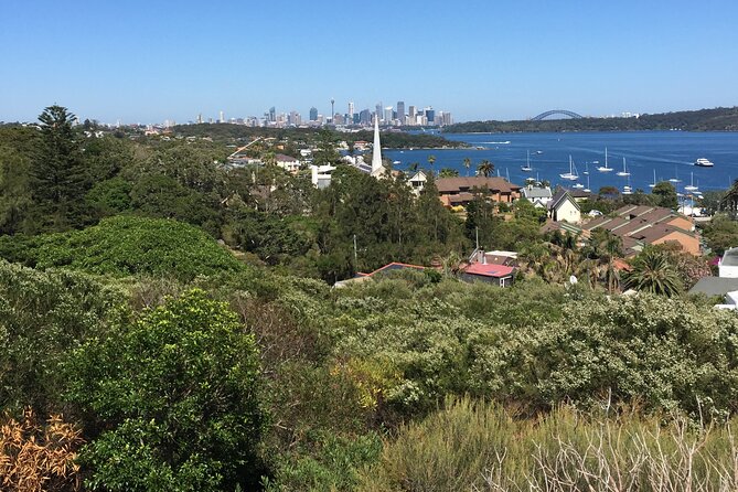 Morning or Afternoon Half-Day Sydney City Sightseeing Tour - Chinatown and the finish at Darling Harbour
