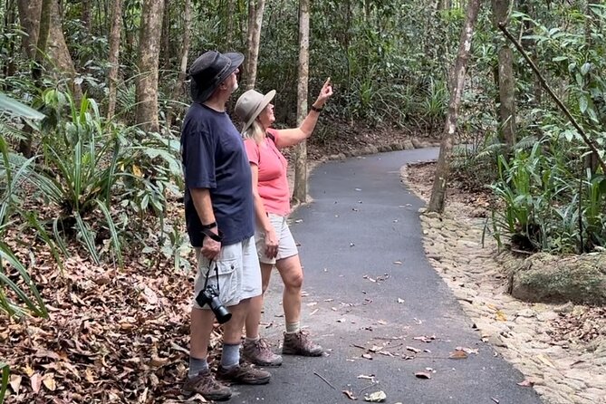 Mossman Gorge Daintree Experience Small Groups - Key points to know before booking