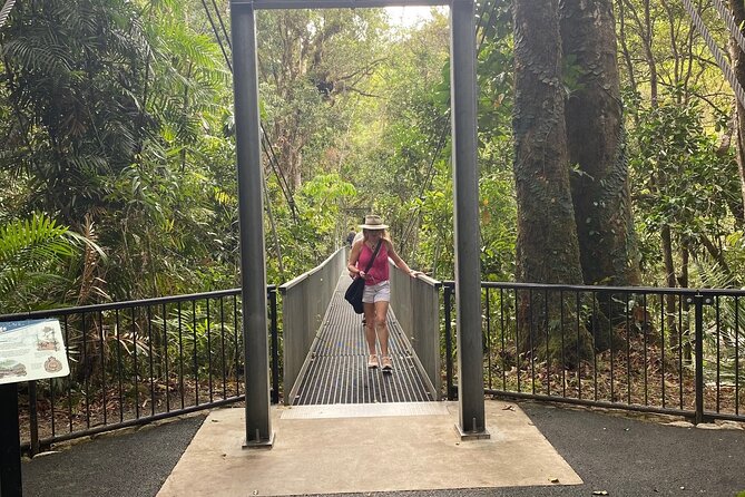 Mossman Gorge Daintree Experience Small Groups - Daintree Village and lunch at the teahouse