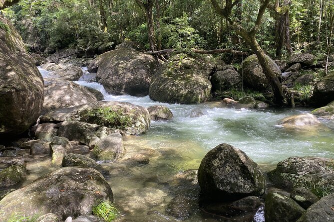 Mossman Gorge Daintree Experience Small Groups - What the $190.07 price really covers