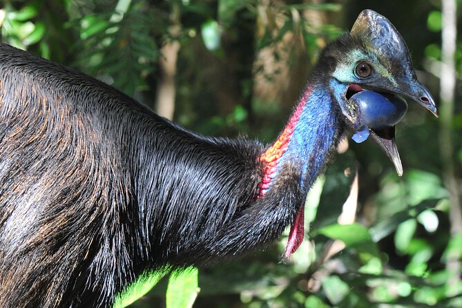 Mossman Gorge Daintree Experience Small Groups - Guides make the difference