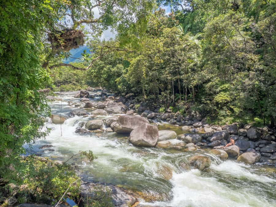 Mossman Gorge: Day Tour with River Drift Experience - Key points to know before booking