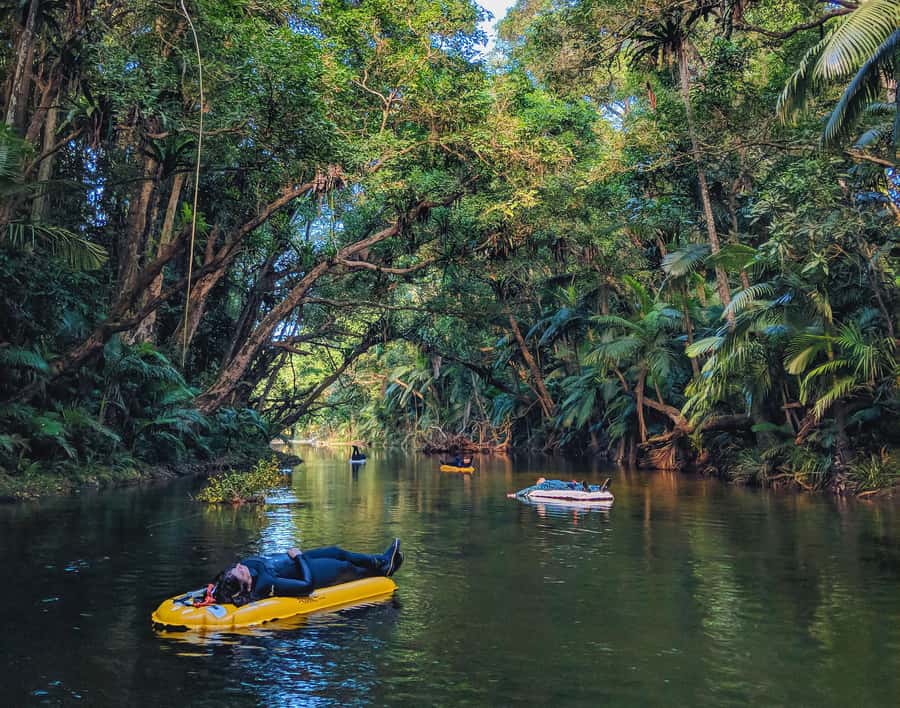 Mossman Gorge: Day Tour with River Drift Experience - Is the $191 price good value?